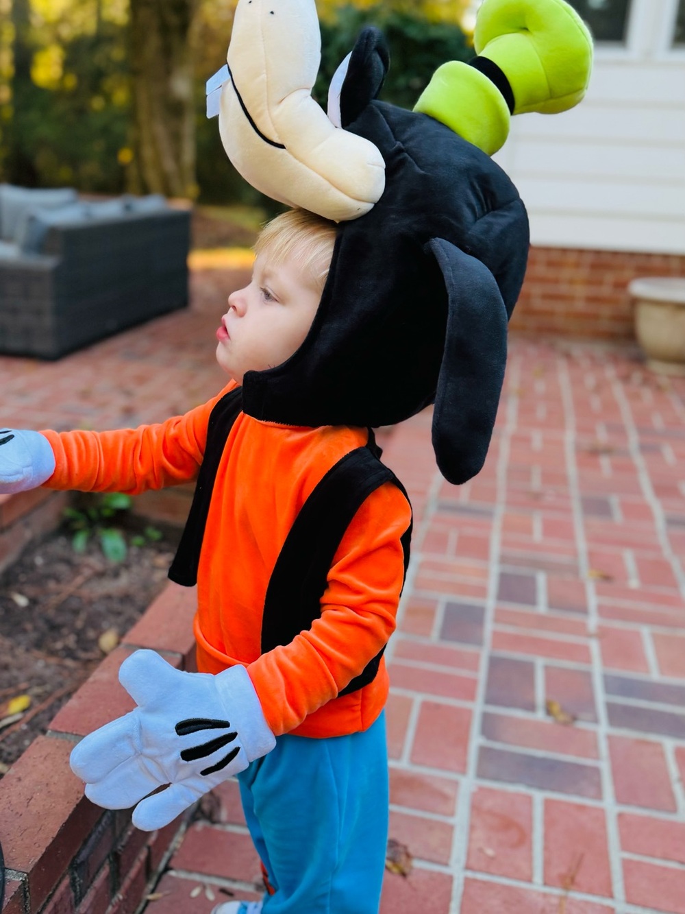 Like NEW 2T Disney Goofy Kids Halloween Costume w/ Accesories - Picture 6 of 6